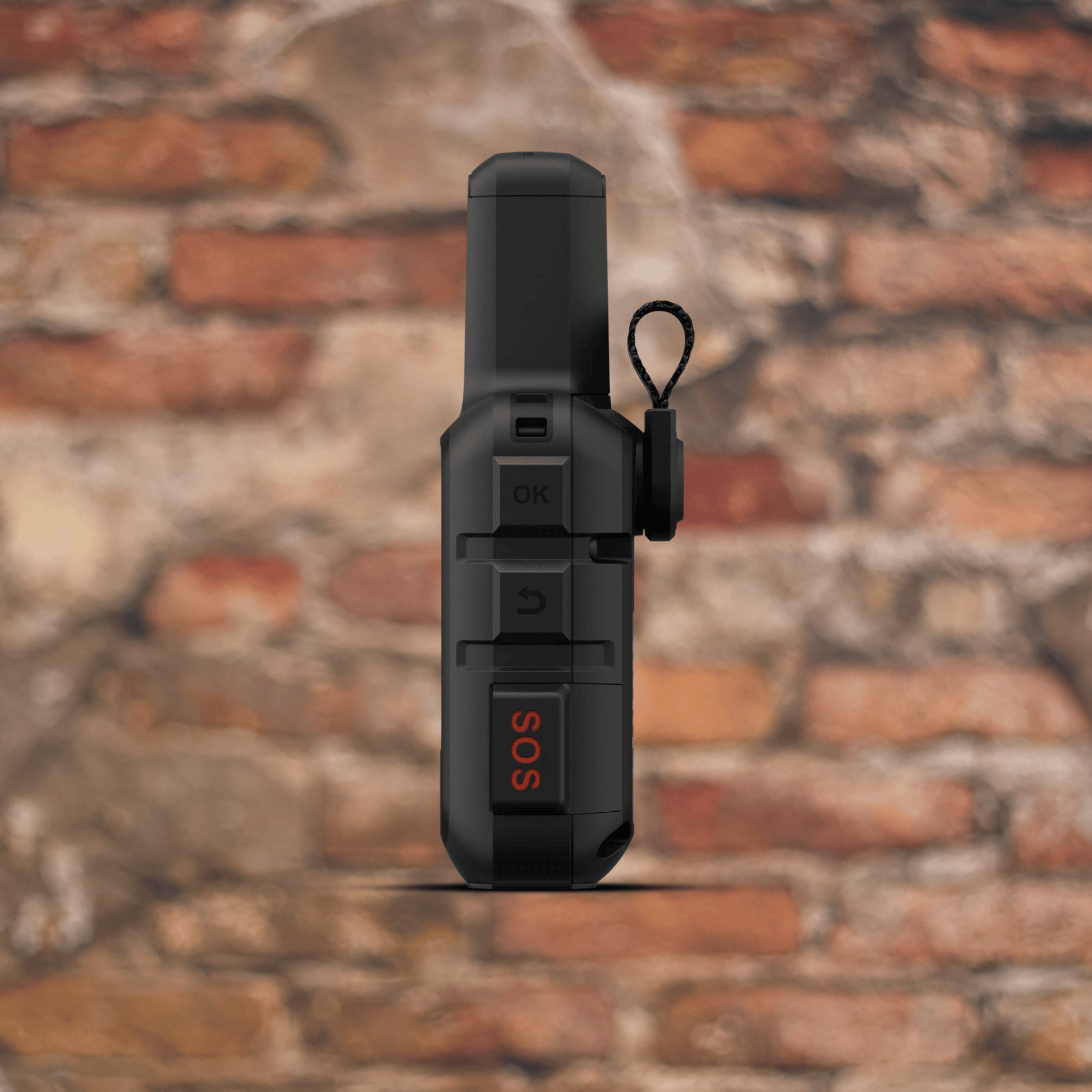 Garmin Electronics Garmin In-Reach Mini 2 - Black